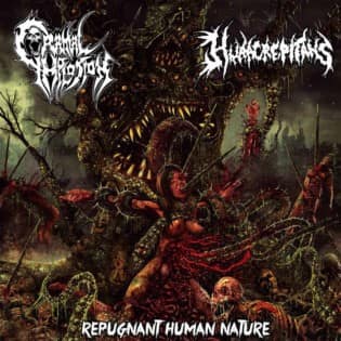 Hura Crepitans, Cranial Implosion – Repugnant Human Nature — Музыка