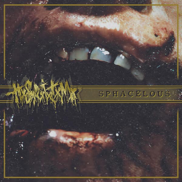 Human Stench Rests In The Morgue – Sphacelous — Музыка