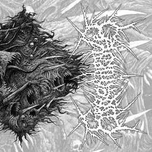 Coprobaptized Cunthunter — Perseveration Of Delirious Comprehensiveness — Музыка