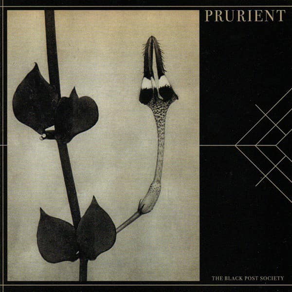 Prurient — The Black Post Society — Музыка