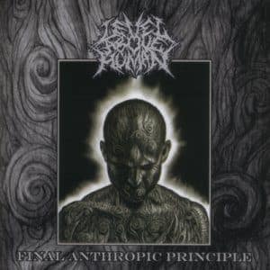 Level Above Human — Final Anthropic Principle — Музыка