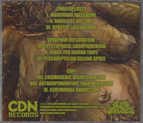 Phalloplasty, Seraphim Defloration, Cuff – Bursting With Larvae: A North American Drum Machine Assault — фото товара