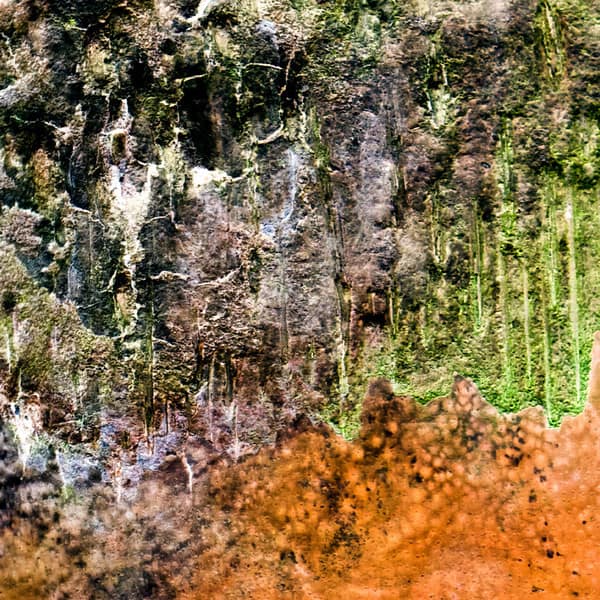 Francisco López & Daniel Menche – Sacrificed Phloem (Zannec Line) — Музыка