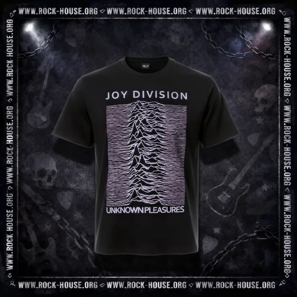 Футболка Joy Division Unknown Pleasures — фото товара