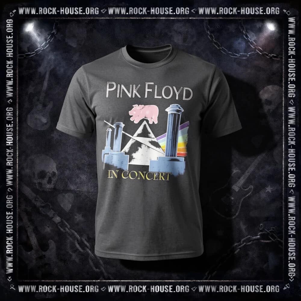 Футболка Pink Floyd In concert | серая — Футболки