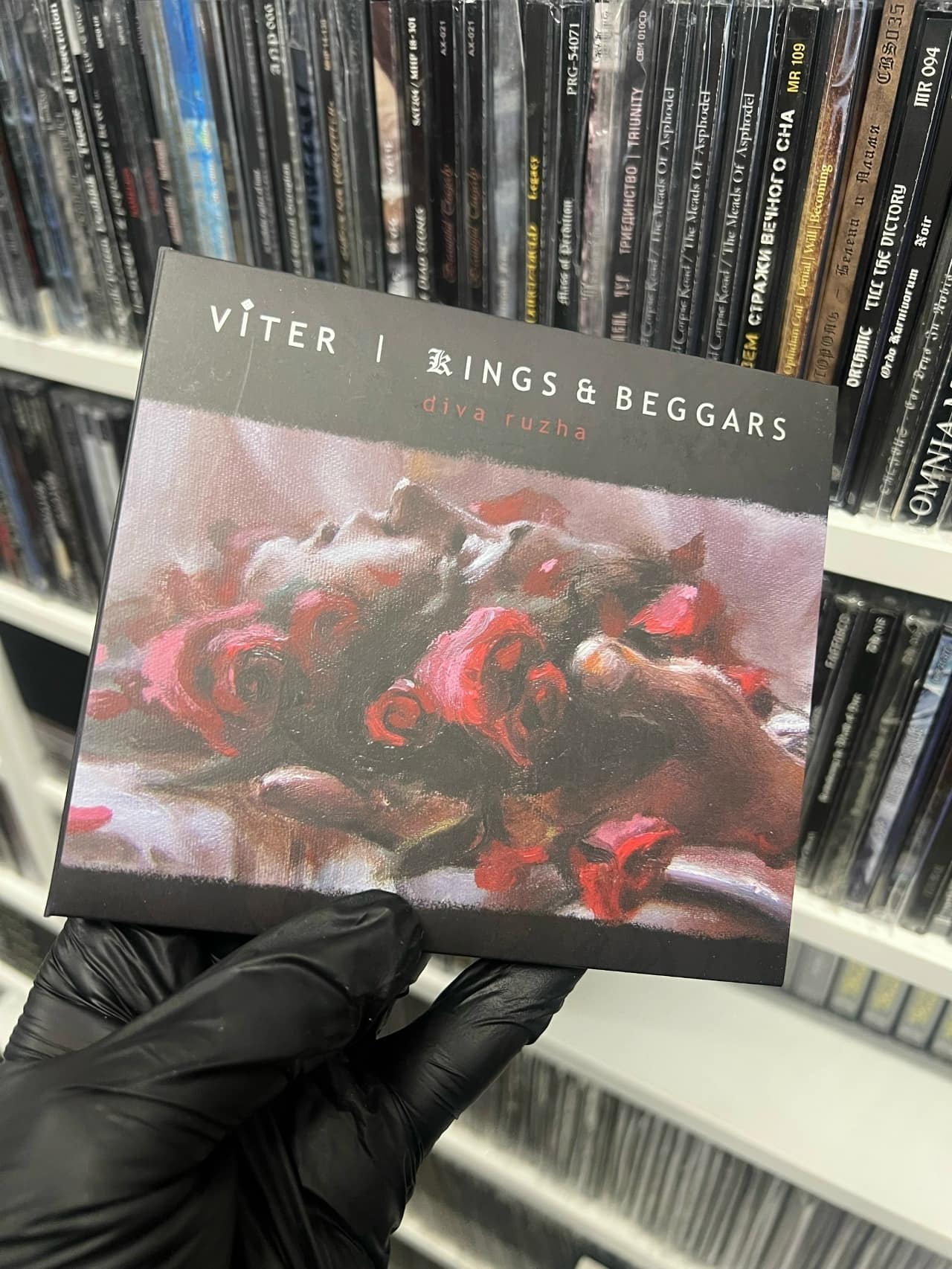 Viter | Kings & Beggars — Diva Ruzha — Музыка