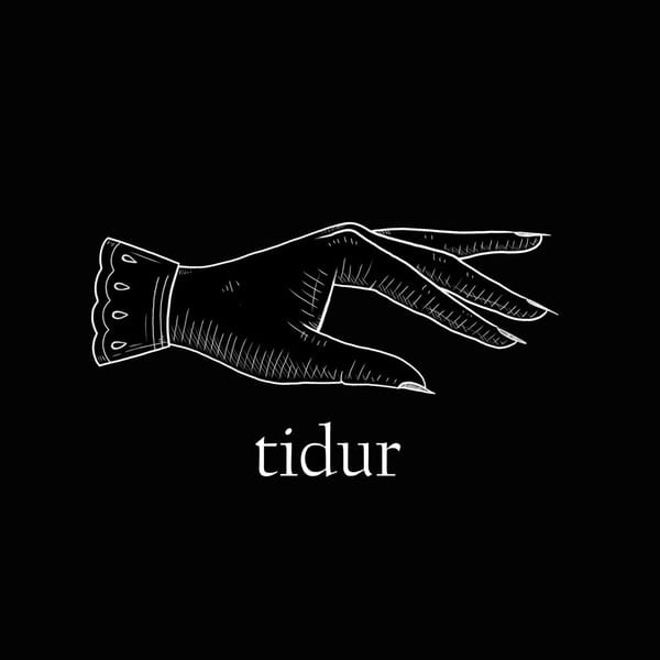 Alberto Nemo — Tidur — фото товара