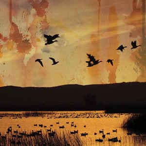 Stellar Descent — ...fading... — Музыка