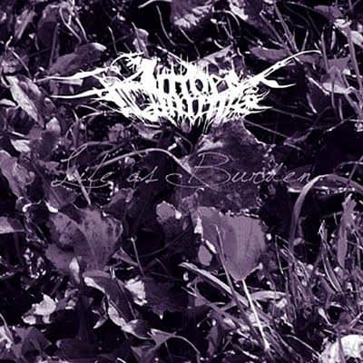 Imber Luminis — Life As Burden — Музыка