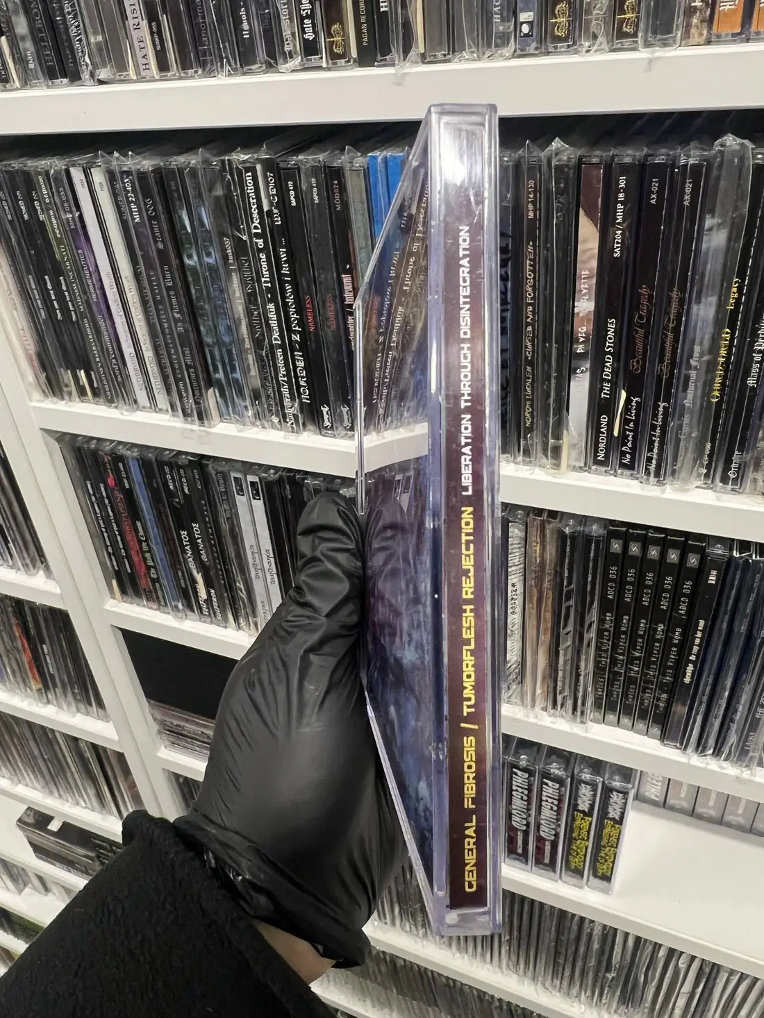 Корешок CD General Fibrosis Tumorflesh Rejection Liberation Through Disintegration