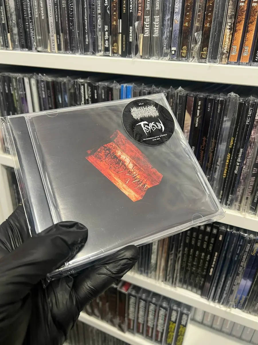 CD Gosudar и Tsygun Split в jewel case на фоне полок магазина Rock House